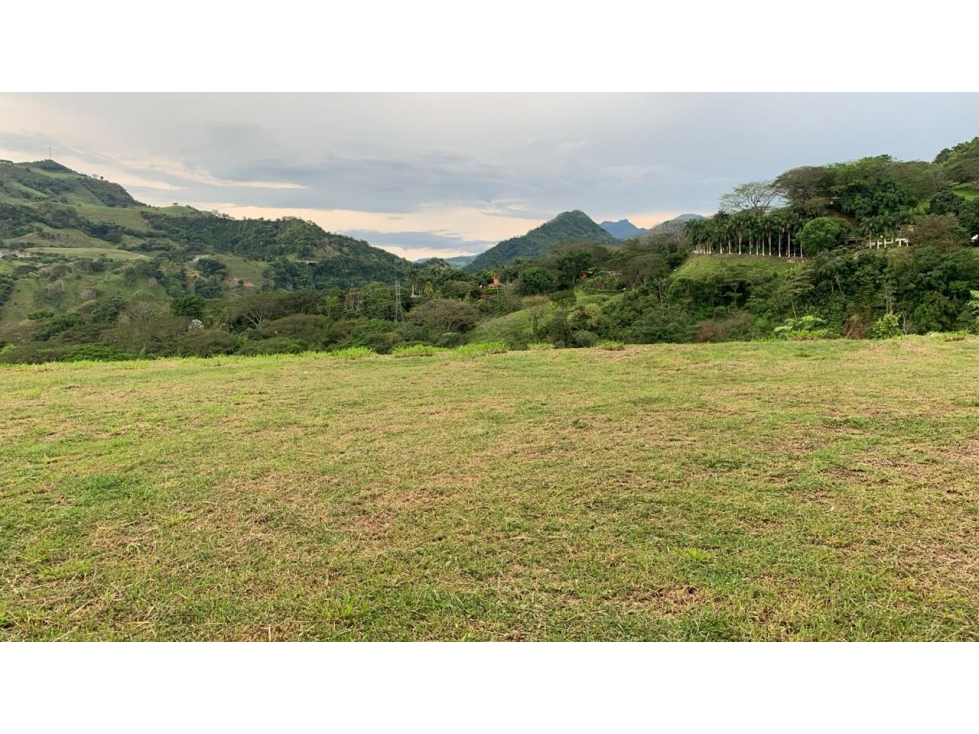 VENTA DE LOTE SALGAR SUROESTE ANTIOQUEÑO - 3