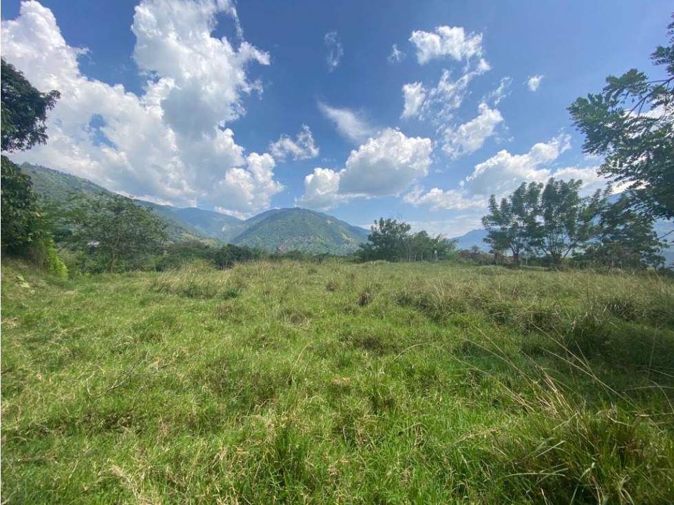 VENTA LOTE, AMAGÁ - SUROESTE ANTIOQUEÑO - 4
