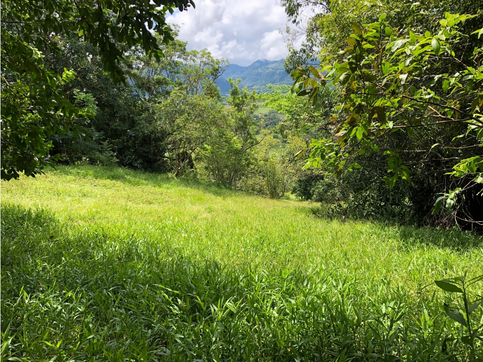 VENTA DE LOTE EN PUENTE IGLESIAS SUROESTE DE ANTIOQUIA - 1