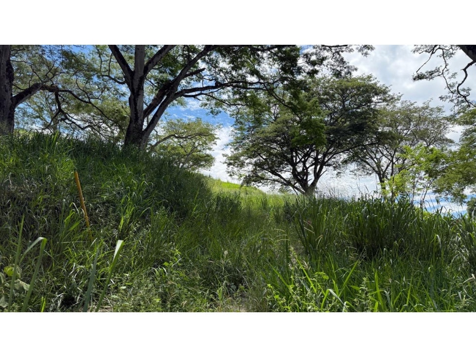 VENTA LOTE FREDONIA, - SUROESTE ANTIOQUEÑO - 2