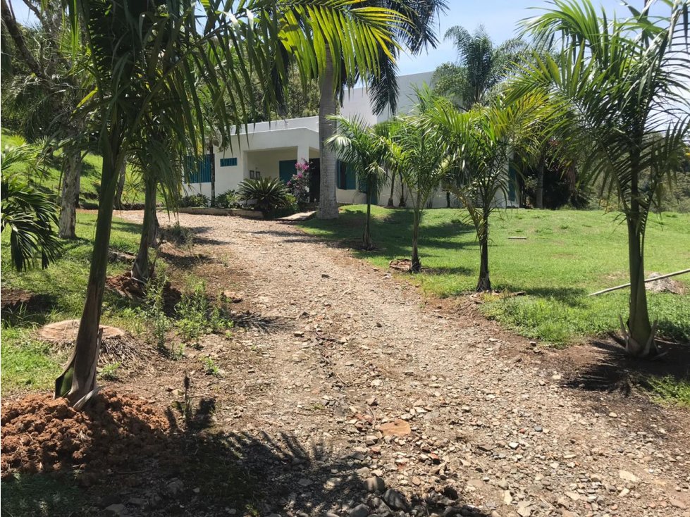 venta Finca Venecia, suroeste antioqueño — foto 4