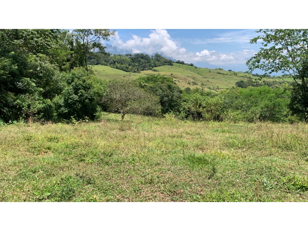 VENTA LOTE TÁMESIS, SUROESTE ANTIOQUEÑO - 4