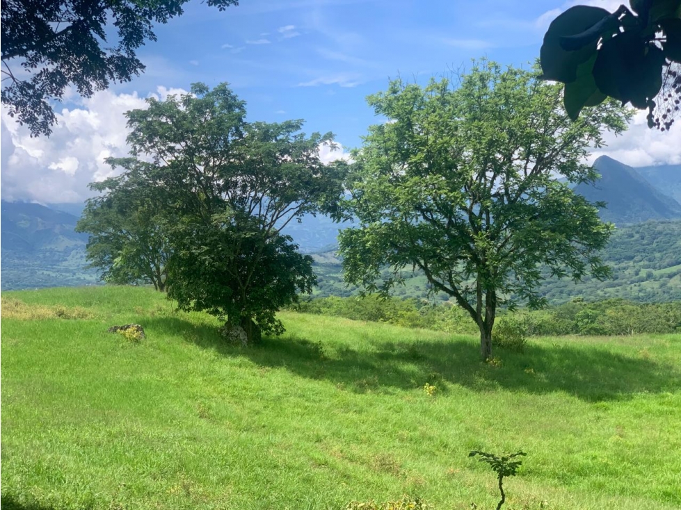 VENTA LOTE TÁMESIS, - SUROESTE ANTIOQUEÑO - 6
