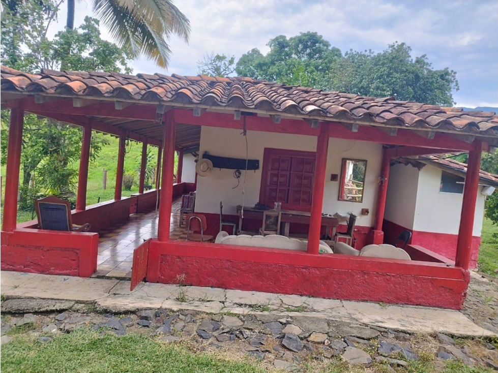 VENTA FINCA GANADERA CONCORDIA, SUROESTE ANTIOQUEÑO - 2