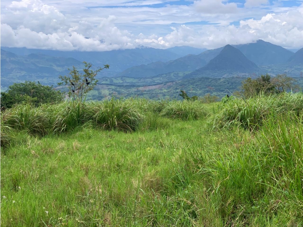 VENTA LOTE, TÁMESIS - SUROESTE ANTIOQUEÑO - 5