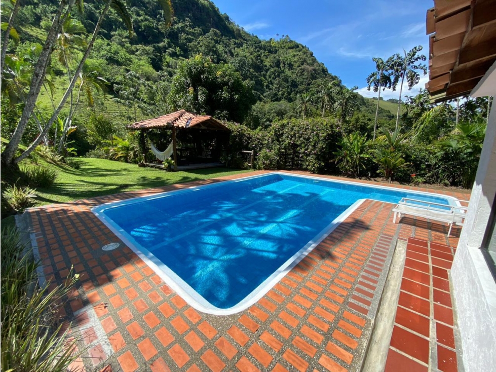 VENTA FINCA LA ALBANIA, SUROESTE ANTIOQUEÑO - 4
