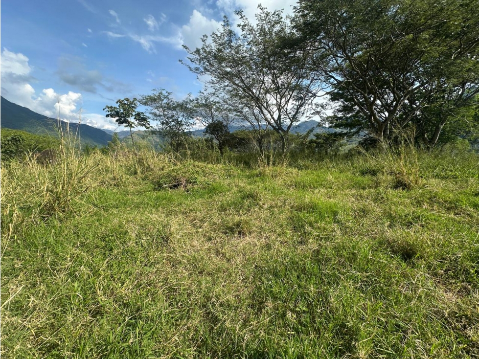 VENTA LOTE LA SIRIA - SUROESTE ANTIOQUEÑO AMAGÁ - 4