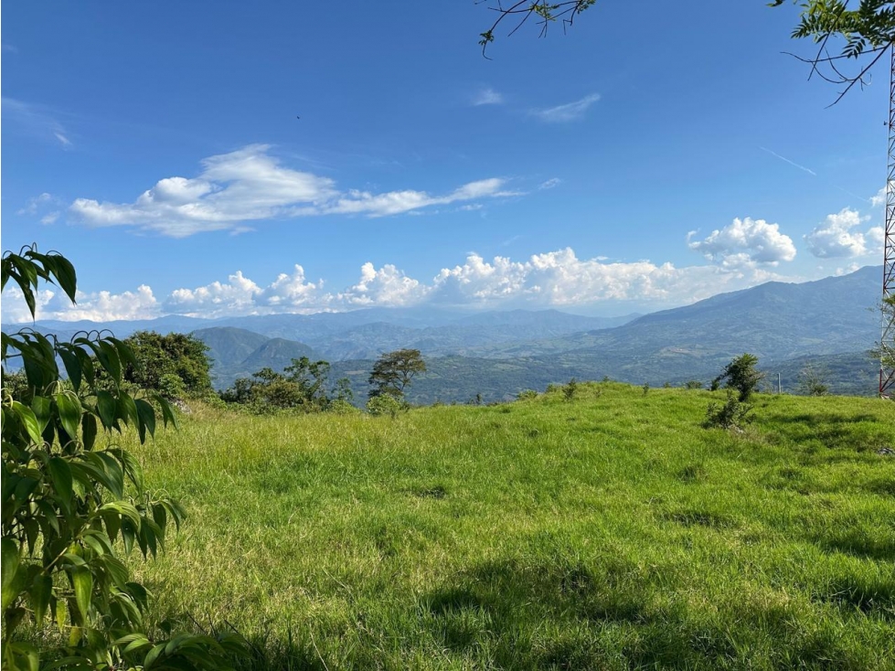 VENTA LOTE, TÁMESIS PALERMO - SUROESTE ANTIOQUEÑO - 2