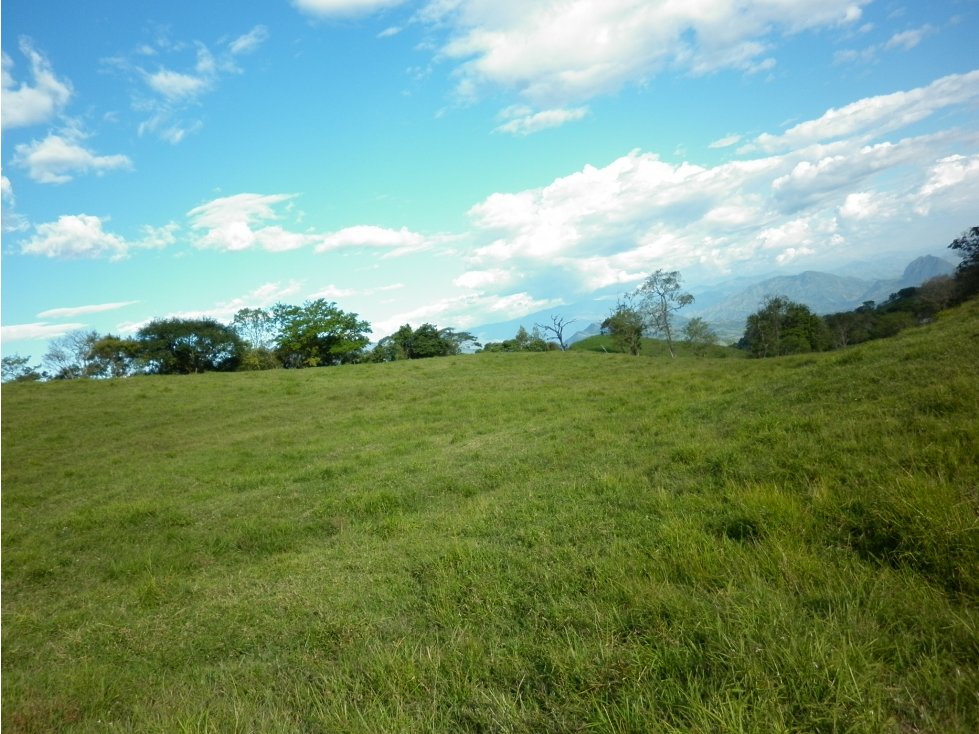 Lote / Terreno Suroeste Antioqueño Codigo 76644 - 1