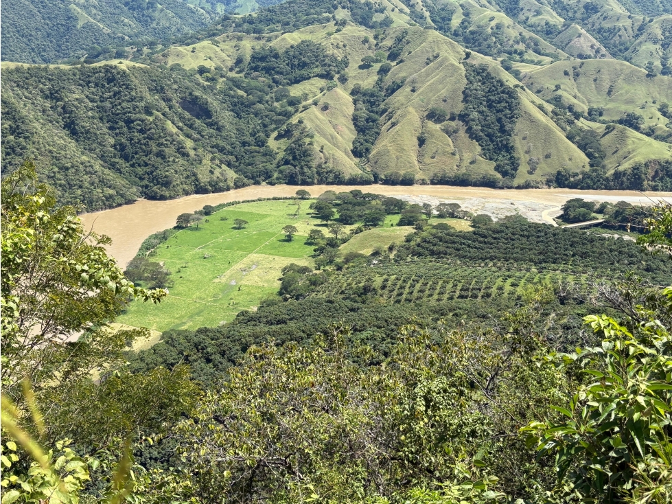 VENTA FINCA, BETULIA SUROESTE ANTIOQUEÑO - 1