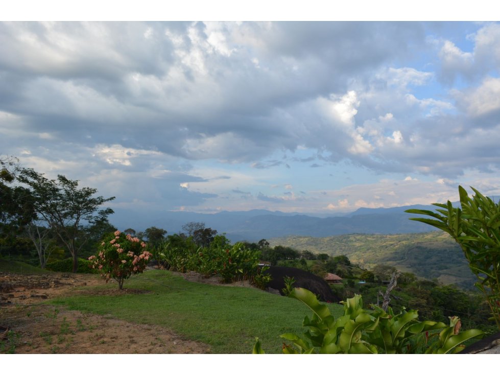 VENTA LOTE TÁMESIS, SUROESTE ANTIOQUEÑO UNIDAD CERRADA - 3