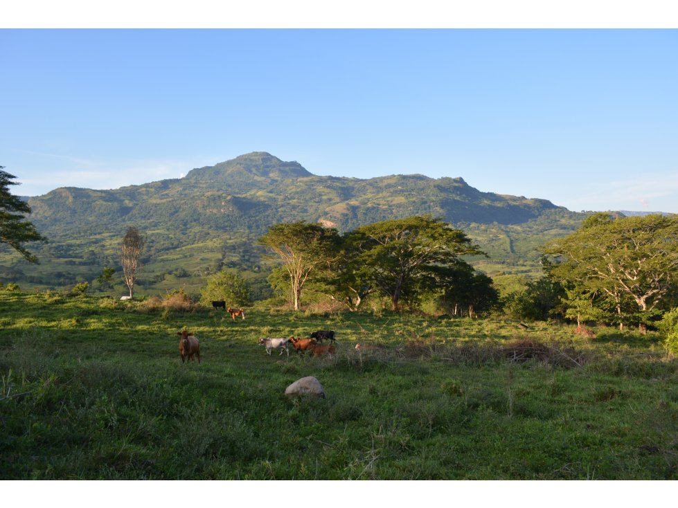 VENTA LOTE EN LA BOTERO, JERICÓ SUROESTE ANTIOQUEÑO. - 5