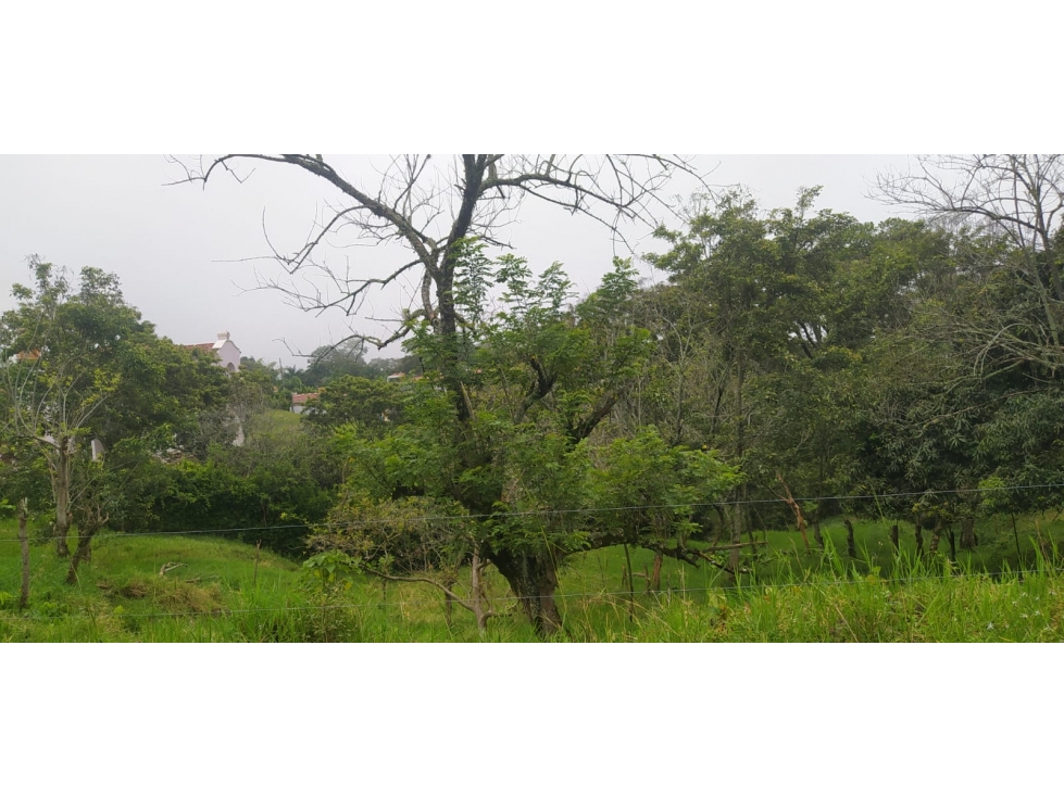 VENTA LOTE VENECIA, SUROESTE ANTIOQUEÑO - 4