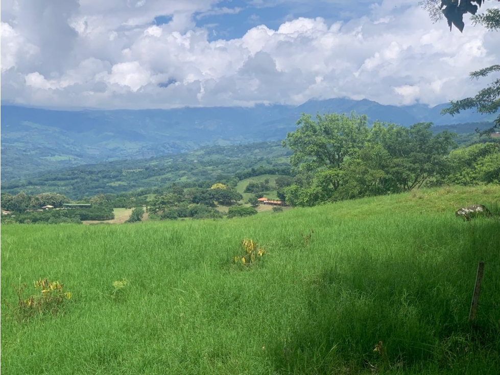 VENTA LOTE TÁMESIS, - SUROESTE ANTIOQUEÑO - 4