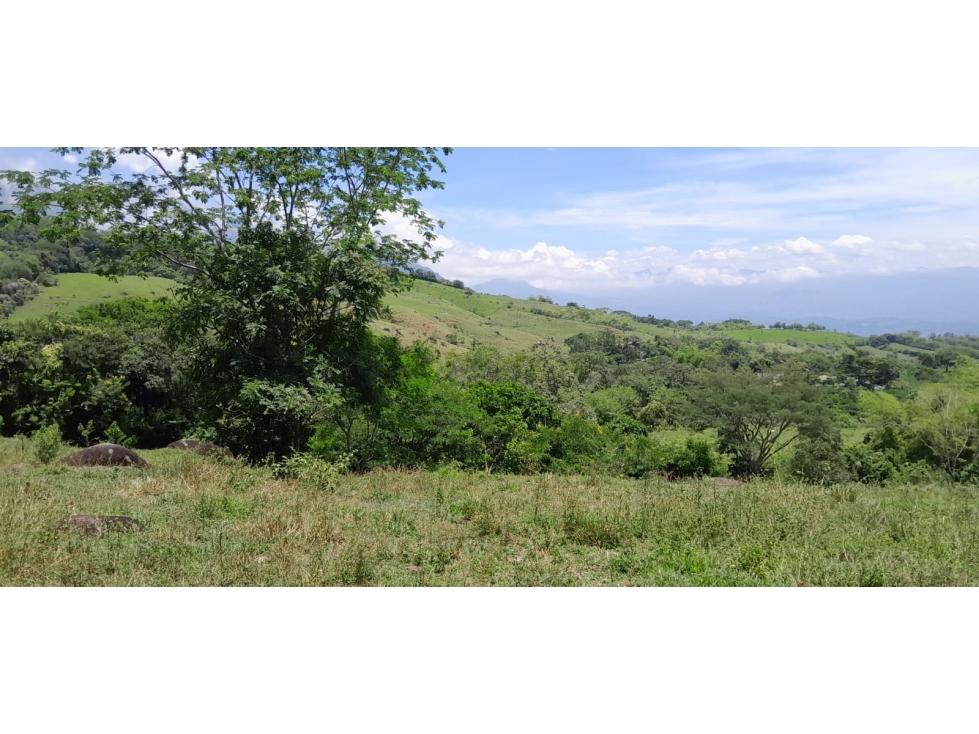 VENTA LOTE TÁMESIS, SUROESTE ANTIOQUEÑO - 6