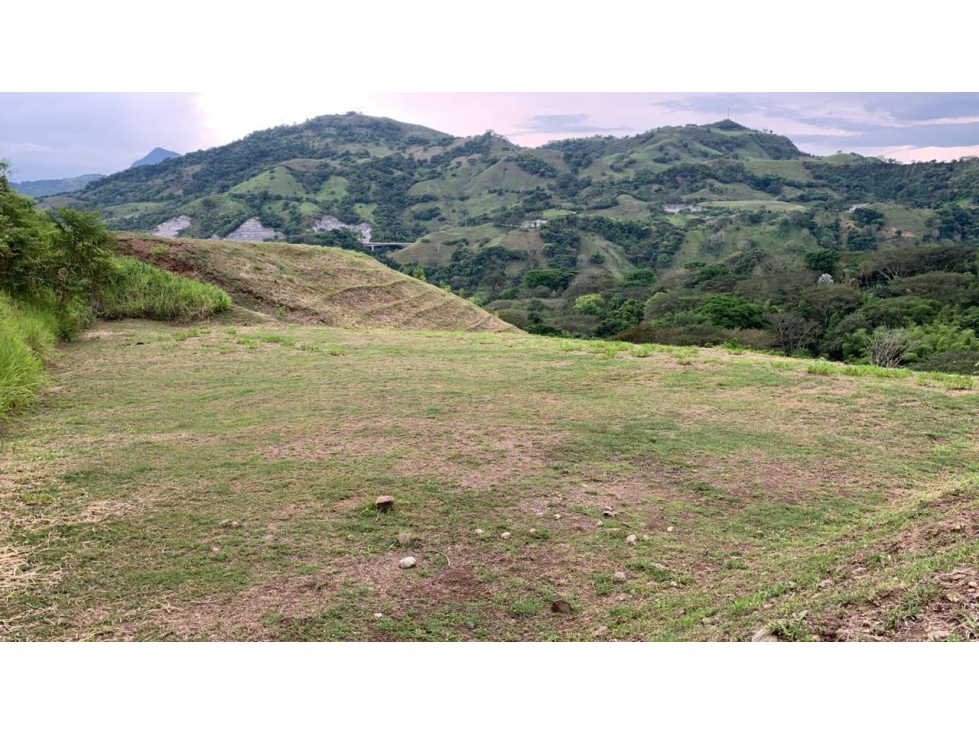VENTA DE LOTE SALGAR SUROESTE ANTIOQUEÑO - 4