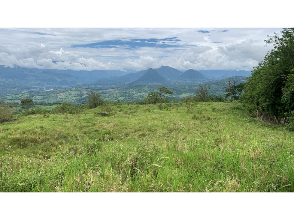 VENTA LOTE, TÁMESIS - SUROESTE ANTIOQUEÑO - 3