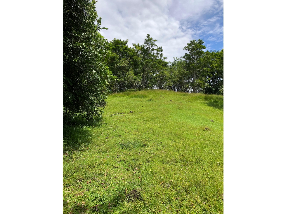 VENTA DE LOTE EN PUENTE IGLESIAS SUROESTE DE ANTIOQUIA - 2
