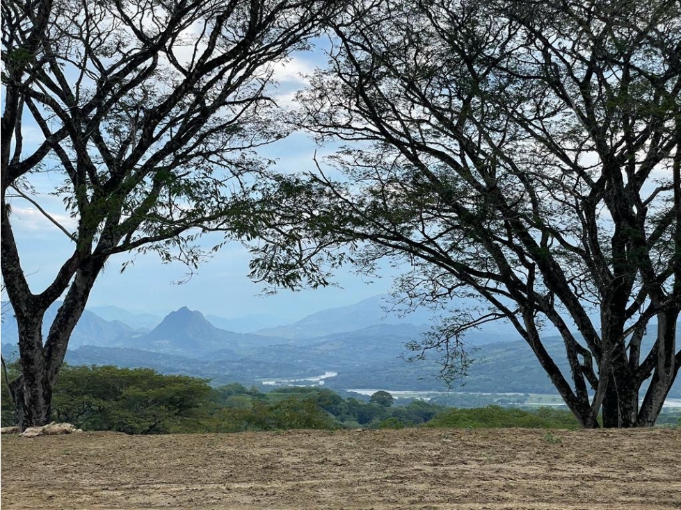 VENTA LOTE FREDONIA, - SUROESTE ANTIOQUEÑO - 3