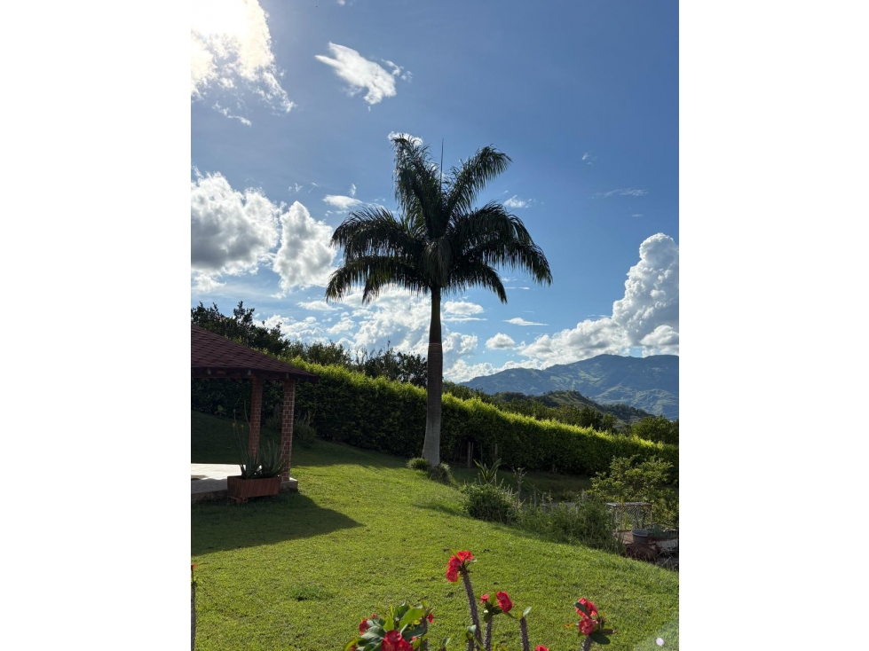 VENTA FINCA VENECIA, SUROESTE ANTIOQUEÑO — foto 4