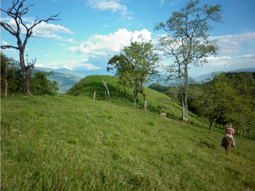 Lote / Terreno Suroeste Antioqueño Codigo 76644 - 3