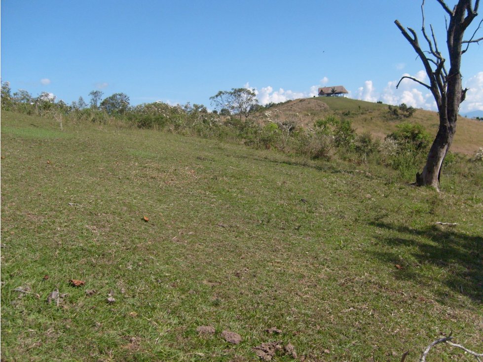 VENTA LOTE LA PINTADA, SUROESTE ANTIOQUEÑO UNIDAD CERRADA — foto 4