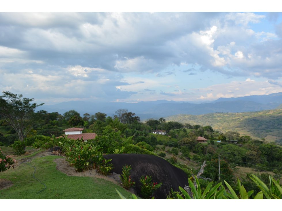 VENTA LOTE TÁMESIS, SUROESTE ANTIOQUEÑO UNIDAD CERRADA - 4