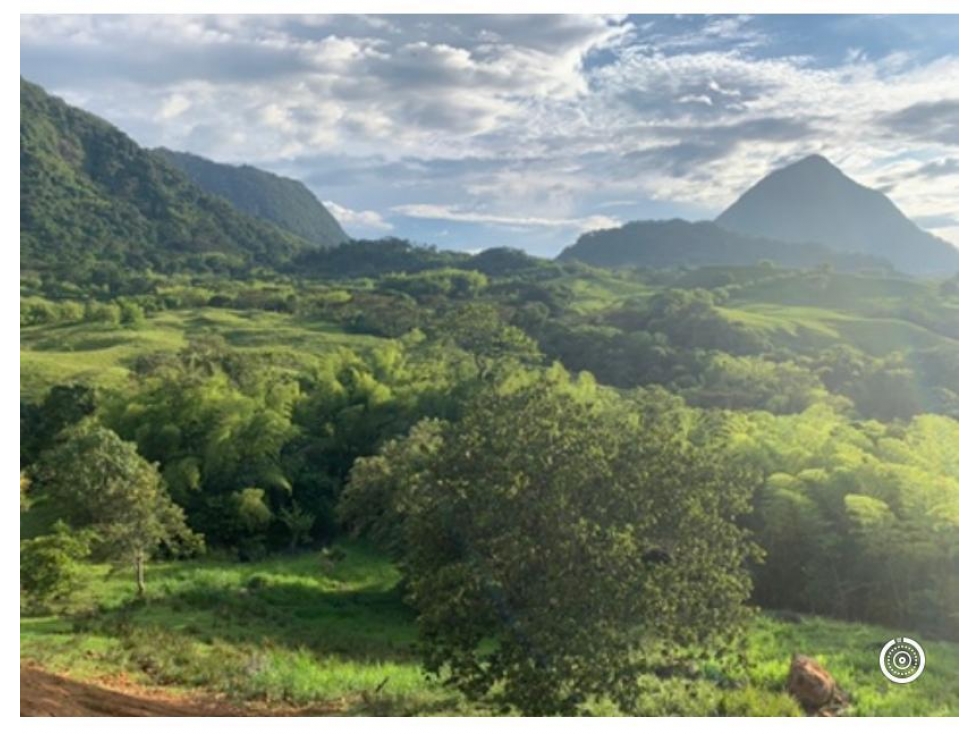 VENTA LOTE VENECIA, SUROESTE ANTIOQUEÑO - 1