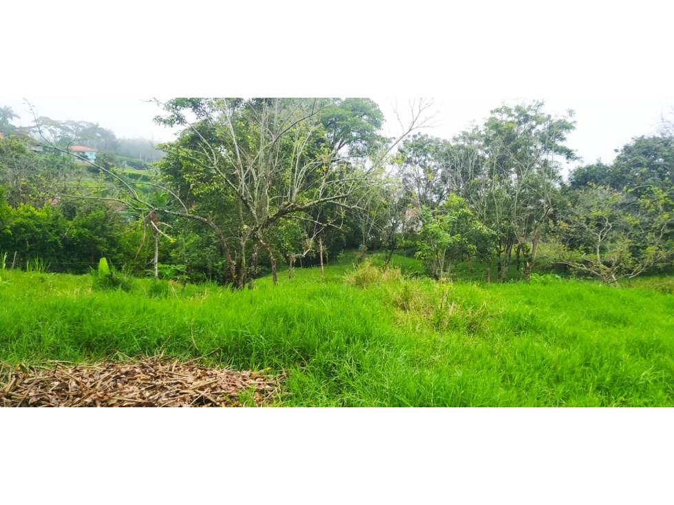 VENTA LOTE VENECIA, SUROESTE ANTIOQUEÑO - 1