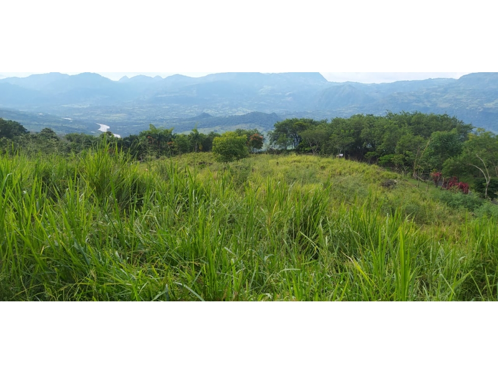 VENTA LOTE, JERICO - SUROESTE ANTIOQUEÑO - 6