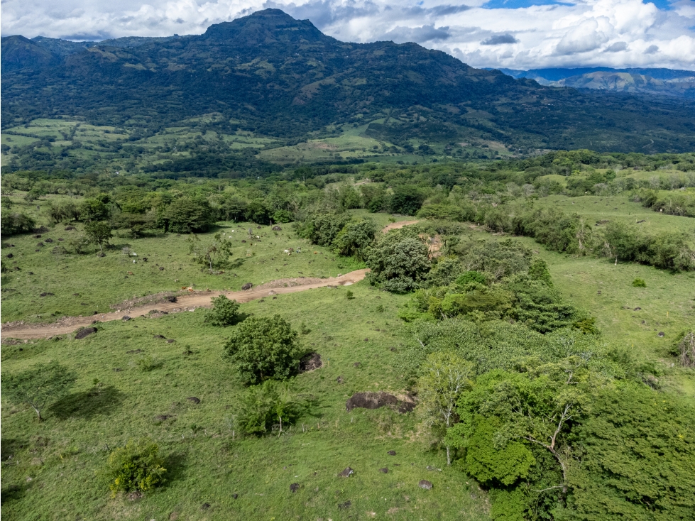 VENTA DE LOTE EN JERICO , SUROESTE ANTIOQUEÑO Unidad Cerrada - 4