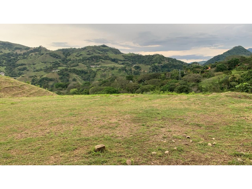 VENTA DE LOTE SALGAR SUROESTE ANTIOQUEÑO - 5