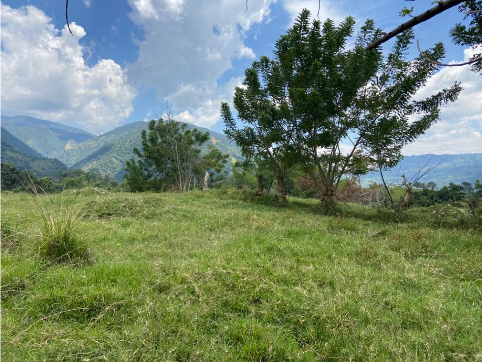 VENTA LOTE, AMAGÁ - SUROESTE ANTIOQUEÑO - 6