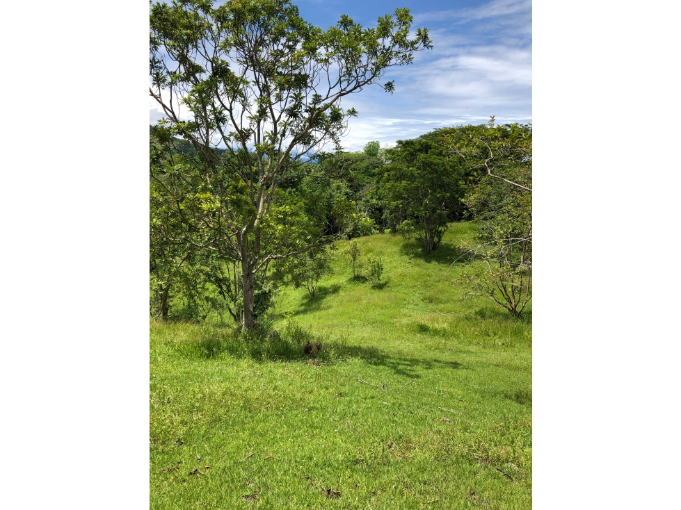 VENTA DE LOTE EN PUENTE IGLESIAS SUROESTE DE ANTIOQUIA - 4