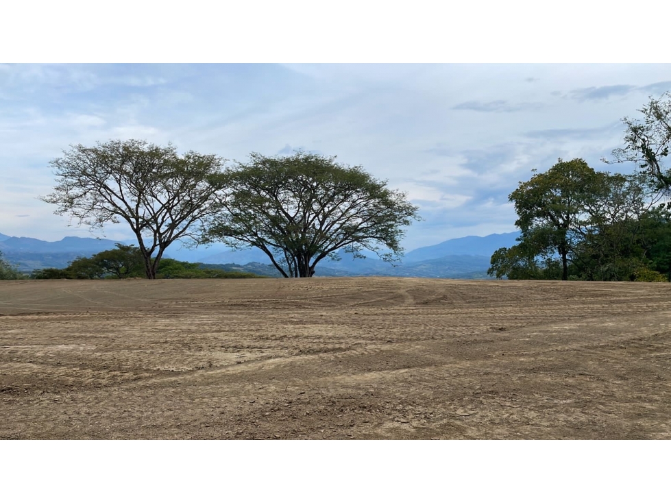 VENTA LOTE FREDONIA, - SUROESTE ANTIOQUEÑO - 1