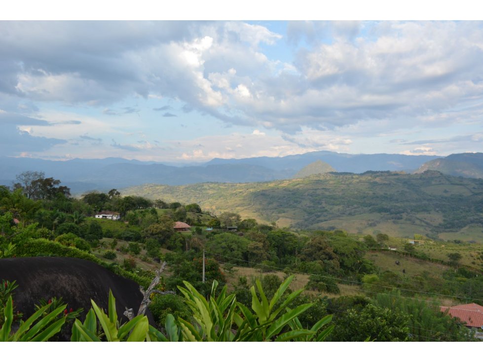 VENTA LOTE TÁMESIS, SUROESTE ANTIOQUEÑO UNIDAD CERRADA - 5