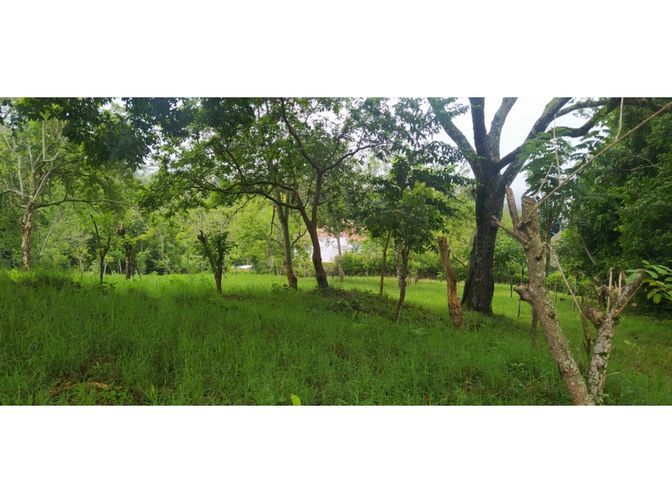 VENTA LOTE VENECIA, SUROESTE ANTIOQUEÑO - 5