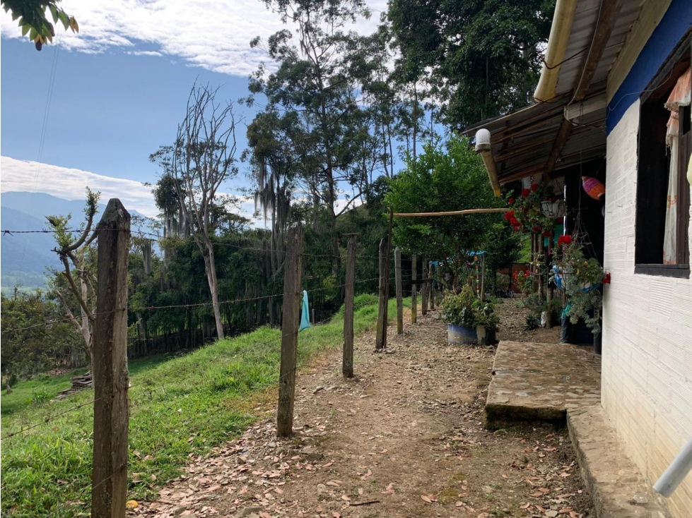 VENTA LOTE, AMAGÁ - SUROESTE ANTIOQUEÑO - 5
