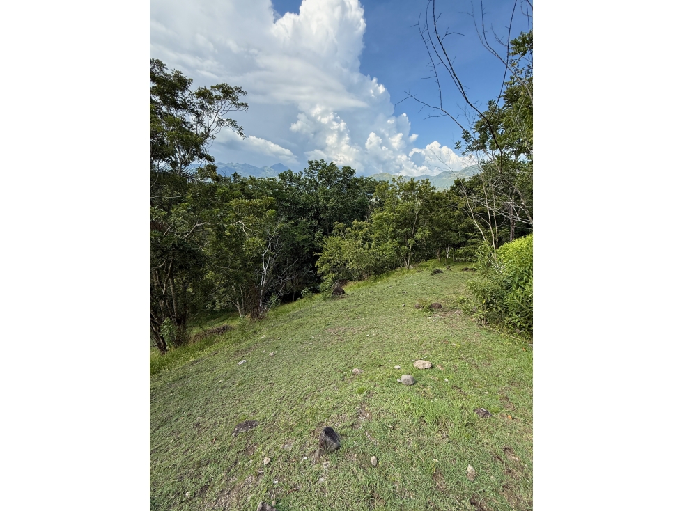 VENTA DE LOTE EN PUENTE IGLESIAS SUROESTE DE ANTIOQUIA - 5