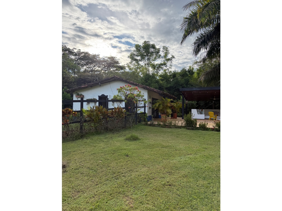 VENTA FINCA VENECIA, SUROESTE ANTIOQUEÑO — foto 2