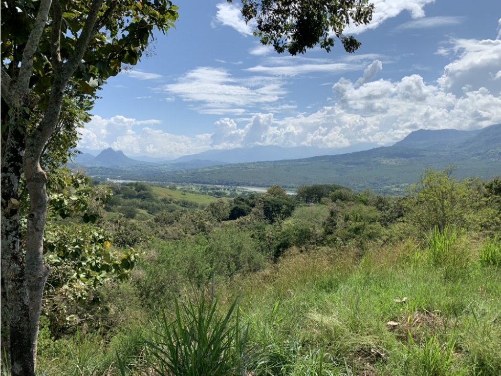 VENTA LOTE FREDONIA SUROESTE ANTIOQUEÑO - 1