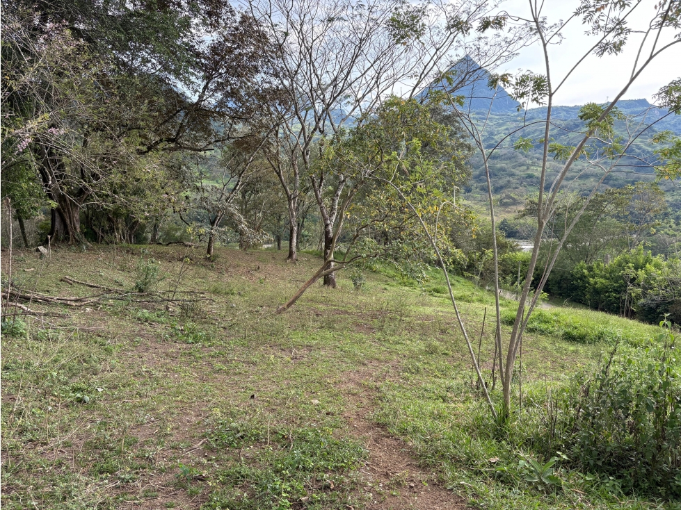 VENTA LOTE , LA SIRIA,SUROESTE ANTIOQUEÑO. - 3