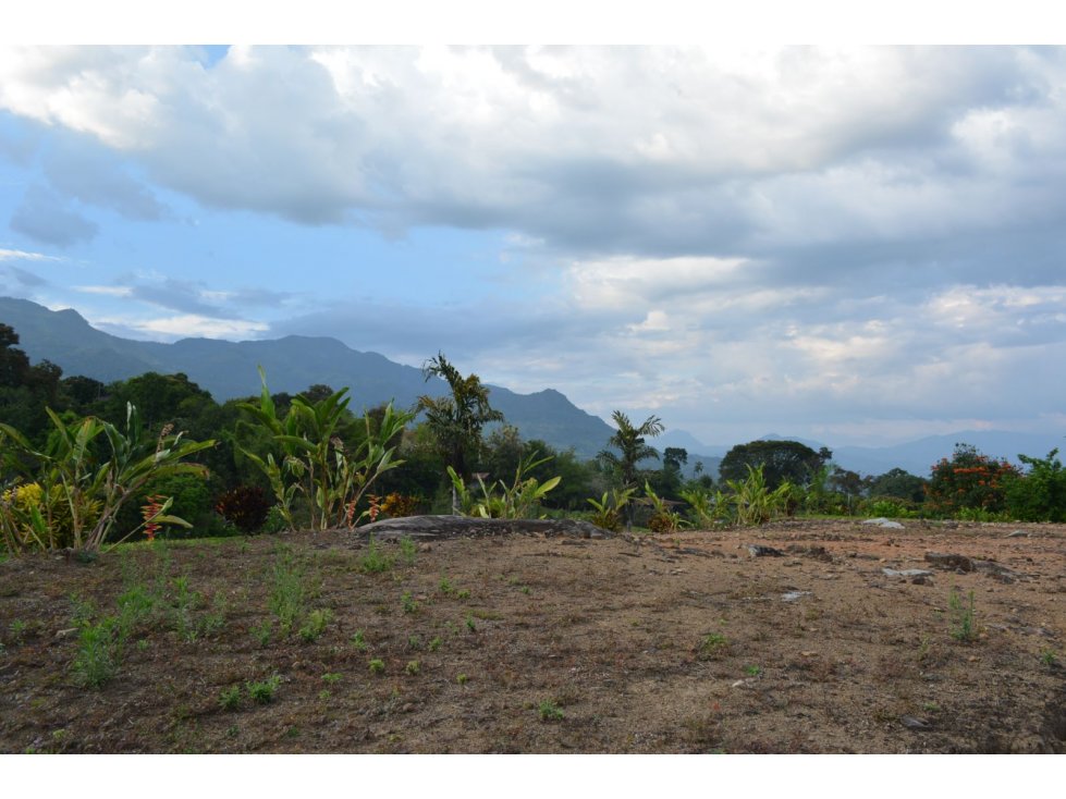 VENTA LOTE TÁMESIS, SUROESTE ANTIOQUEÑO UNIDAD CERRADA - 6
