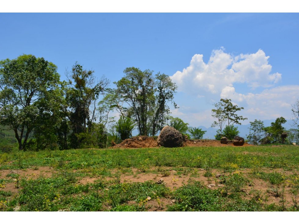 VENTA LOTE JERICO, SUROESTE ANTIOQUEÑO. - 5