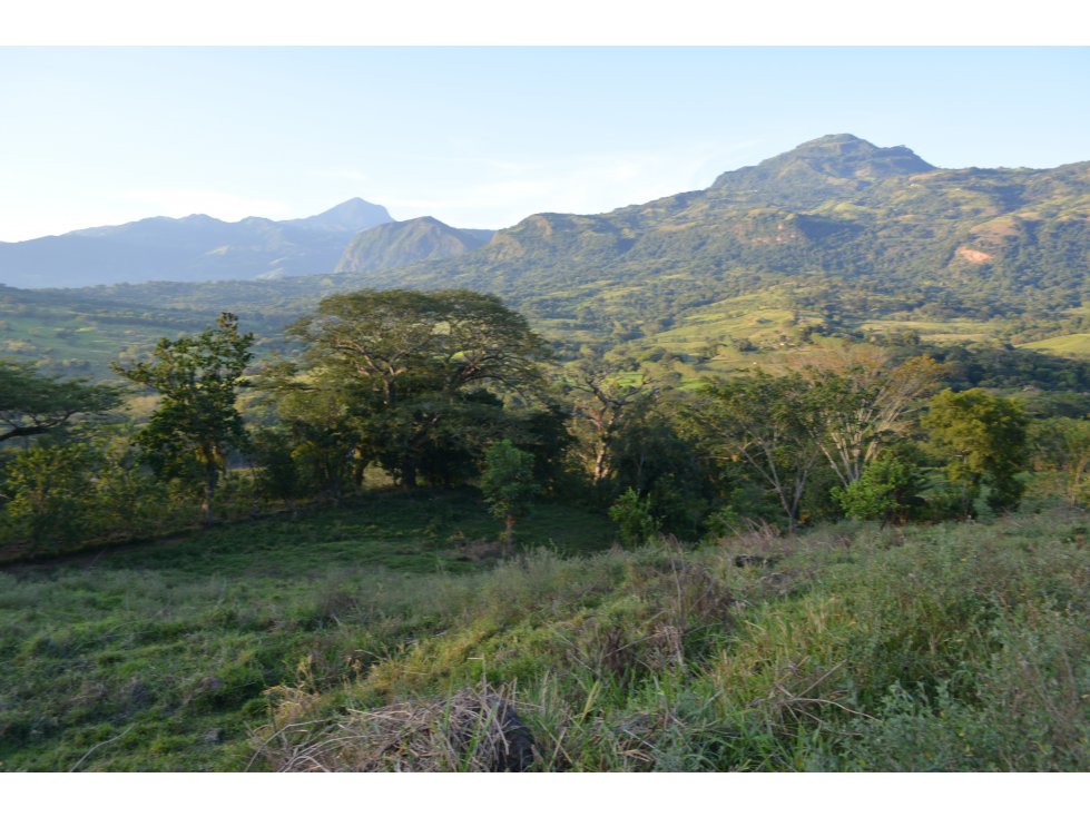 VENTA LOTE EN LA BOTERO, JERICÓ SUROESTE ANTIOQUEÑO. - 6