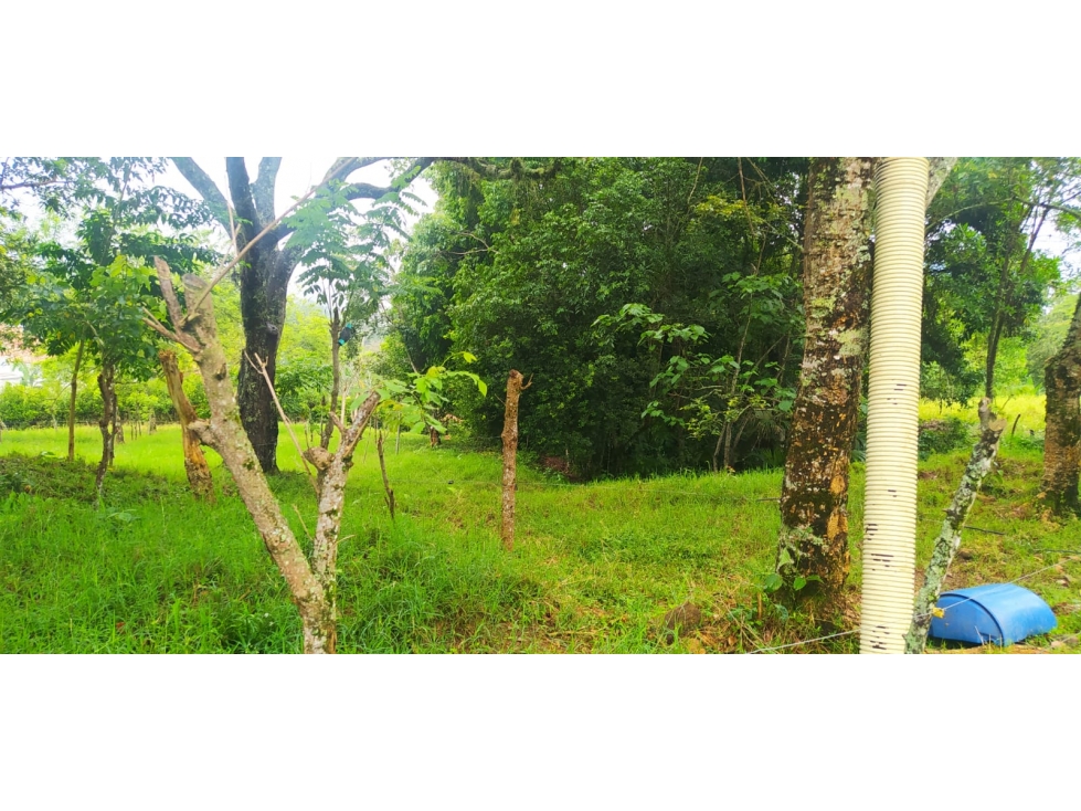 VENTA LOTE VENECIA, SUROESTE ANTIOQUEÑO - 6