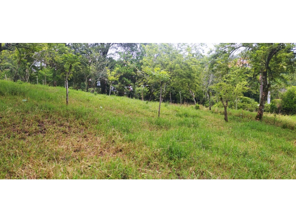 VENTA LOTE VENECIA, SUROESTE ANTIOQUEÑO - 4