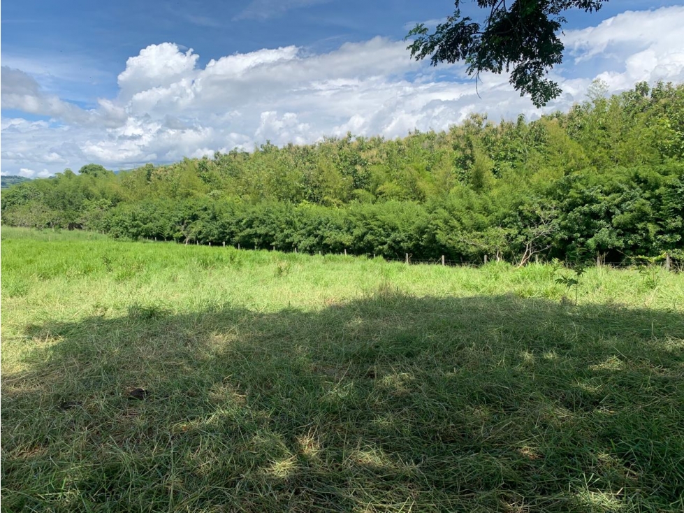 VENTA LOTE TÁMESIS - SUROESTE ANTIOQUEÑO - 6