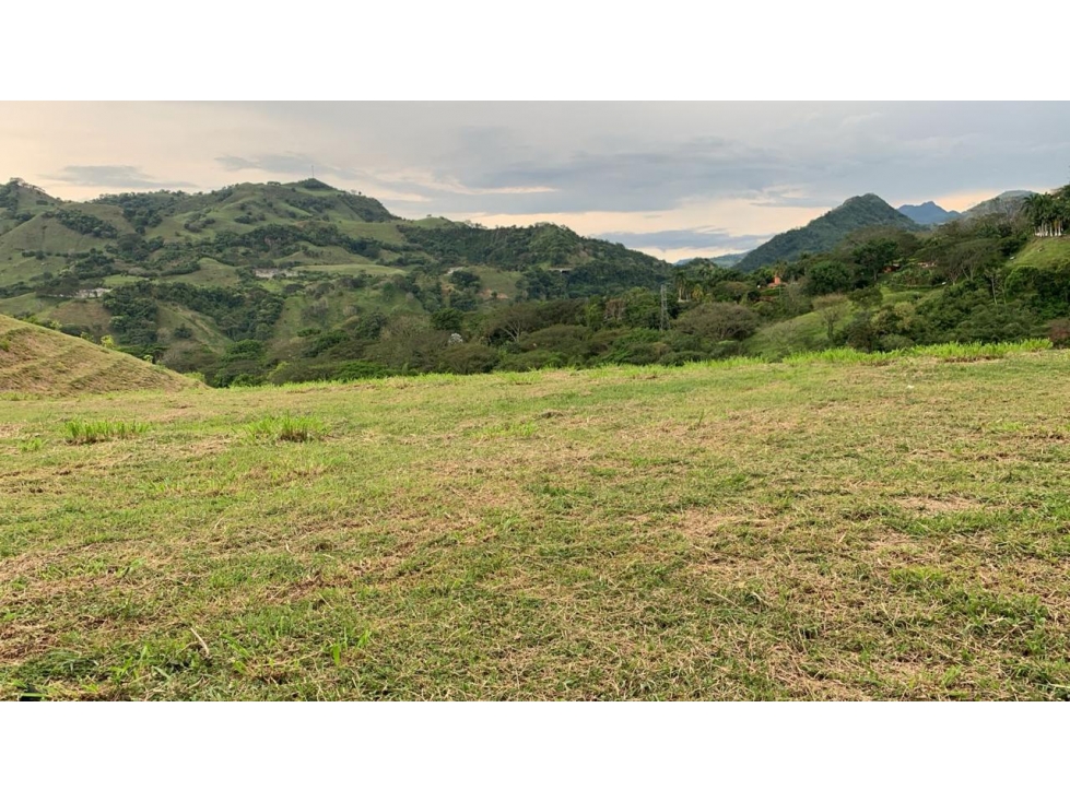VENTA DE LOTE SALGAR SUROESTE ANTIOQUEÑO - 6