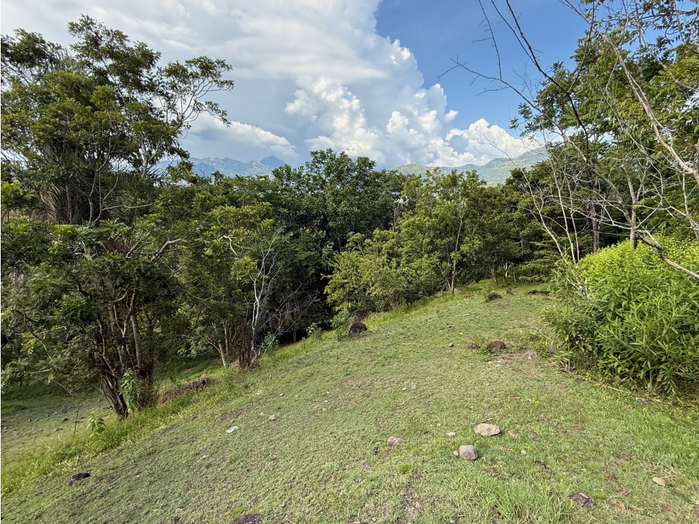 VENTA DE LOTE EN PUENTE IGLESIAS SUROESTE DE ANTIOQUIA - 6